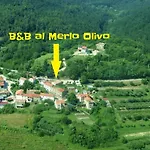 Bed & Breakfast Al Merlo Olivo, Rural Istrian House Buje