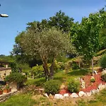 Al Merlo Olivo, Rural Istrian House