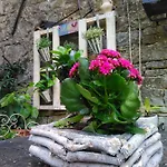 Al Merlo Olivo, Rural Istrian House 3*