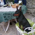 Al Merlo Olivo, Rural Istrian House Bed & Breakfast
