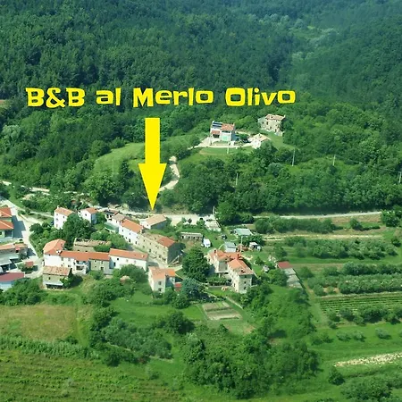 לינה וארוחת בוקר Al Merlo Olivo, Rural Istrian House בוג'ה