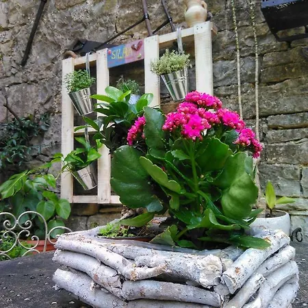 Al Merlo Olivo, Rural Istrian House 3*