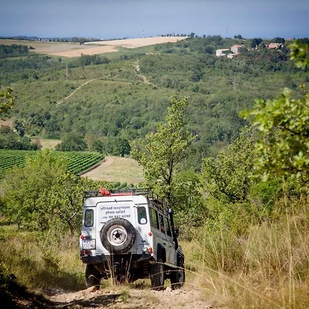 Al Merlo Olivo, Rural Istrian House Buje