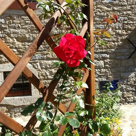 Al Merlo Olivo, Rural Istrian House 3*