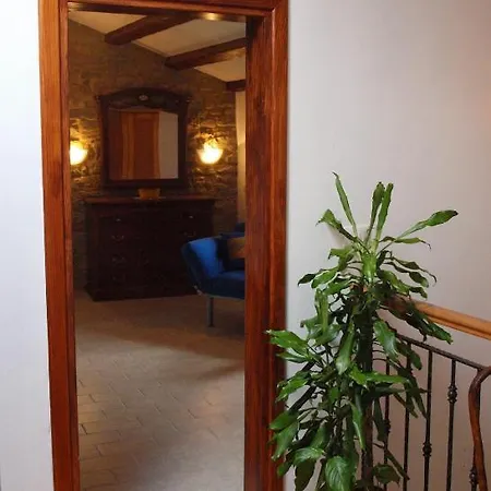 Bed & Breakfast Al Merlo Olivo, Rural Istrian House 3*