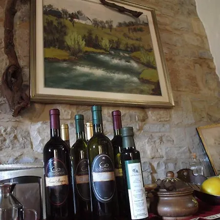 Bed & Breakfast Al Merlo Olivo, Rural Istrian House