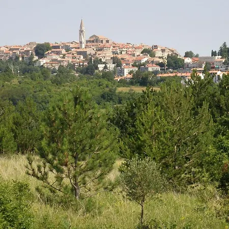 Al Merlo Olivo, Rural Istrian House