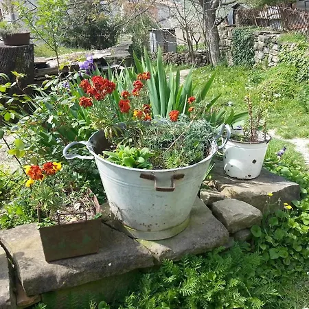 Al Merlo Olivo, Rural Istrian House Bed & Breakfast Buje
