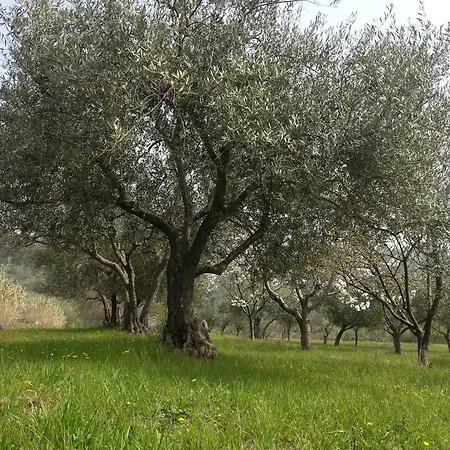 Al Merlo Olivo, Rural Istrian House Oda ve Kahvaltı