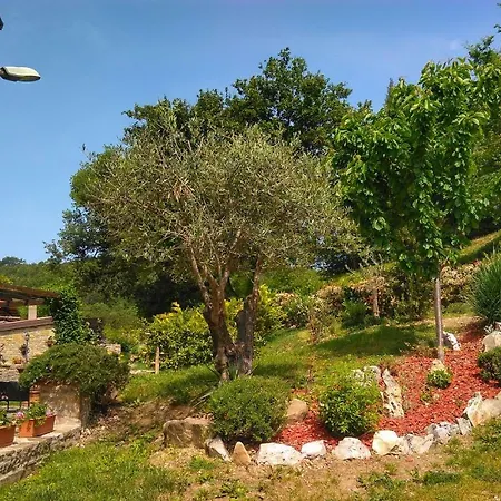 Al Merlo Olivo, Rural Istrian House