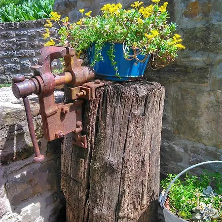 Al Merlo Olivo, Rural Istrian House Bed & Breakfast