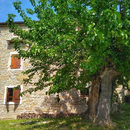 Al Merlo Olivo, Rural Istrian House B&B 부제