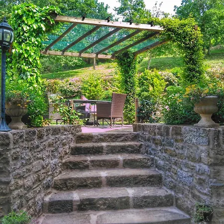 Al Merlo Olivo, Rural Istrian House 3*