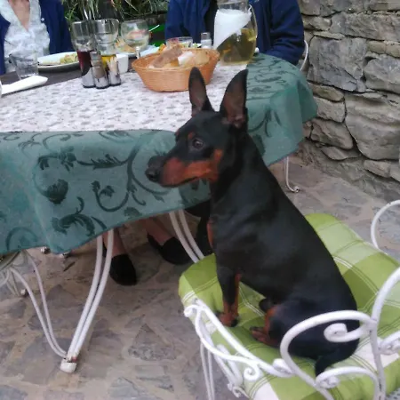 Al Merlo Olivo, Rural Istrian House Oda ve Kahvaltı