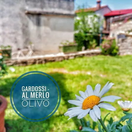 Oda ve Kahvaltı Al Merlo Olivo, Rural Istrian House