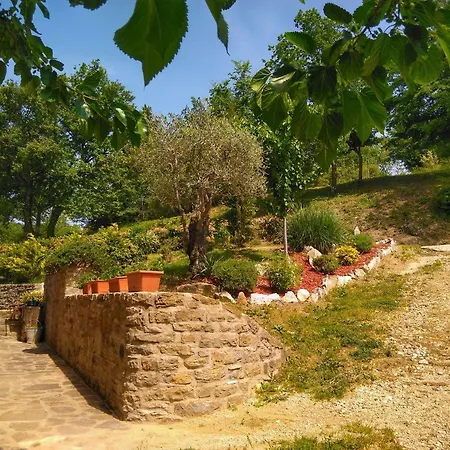 Oda ve Kahvaltı Al Merlo Olivo, Rural Istrian House